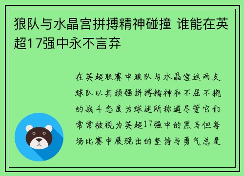狼队与水晶宫拼搏精神碰撞 谁能在英超17强中永不言弃